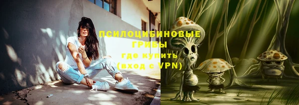хмурый Вяземский