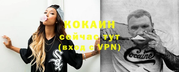 шишки Сосновоборск