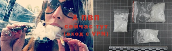 ПСИЛОЦИБИНОВЫЕ ГРИБЫ Волосово