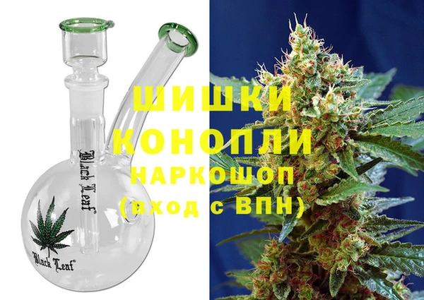 крисы Вязьма
