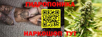 ешки Ставрополь