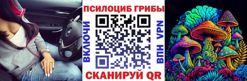 Псилоцибиновые грибы Cubensis  Снежинск 